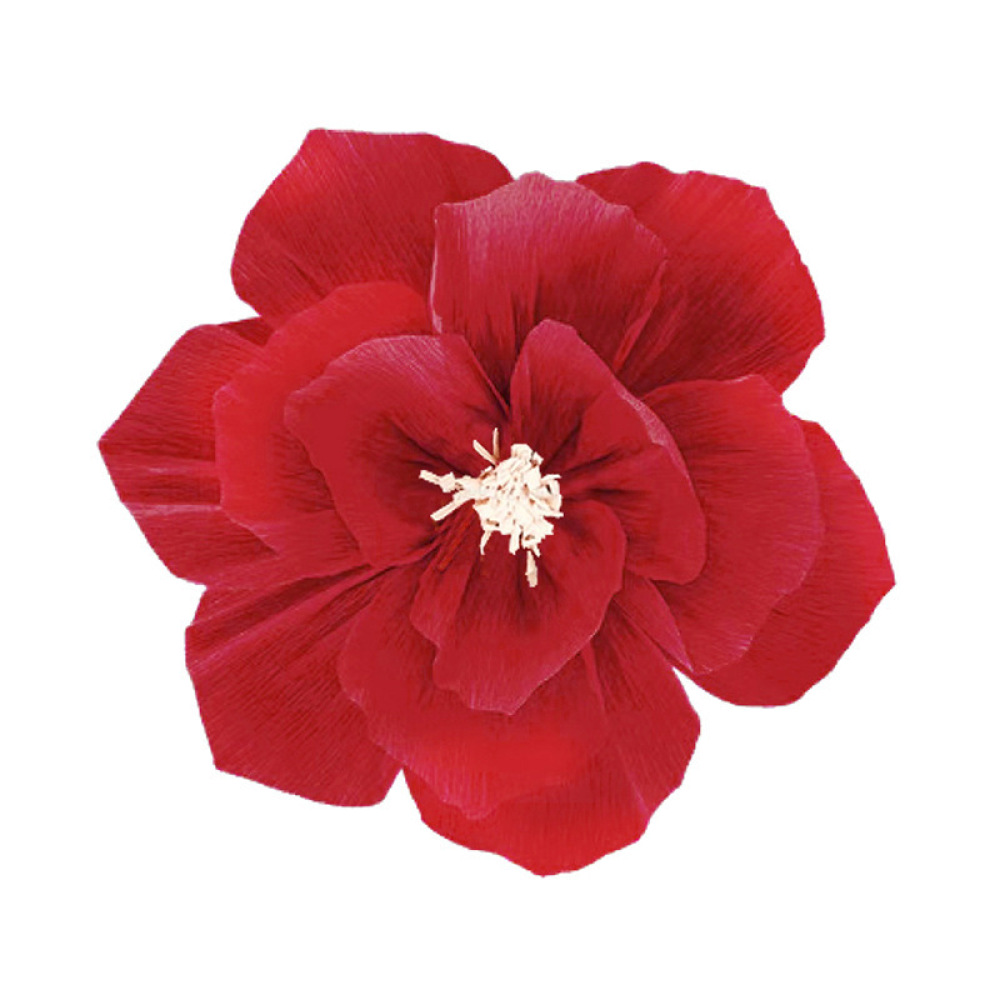 DIY Pleated Paper Flowers Wedd - огляд і ціна Supply Wedding Venue